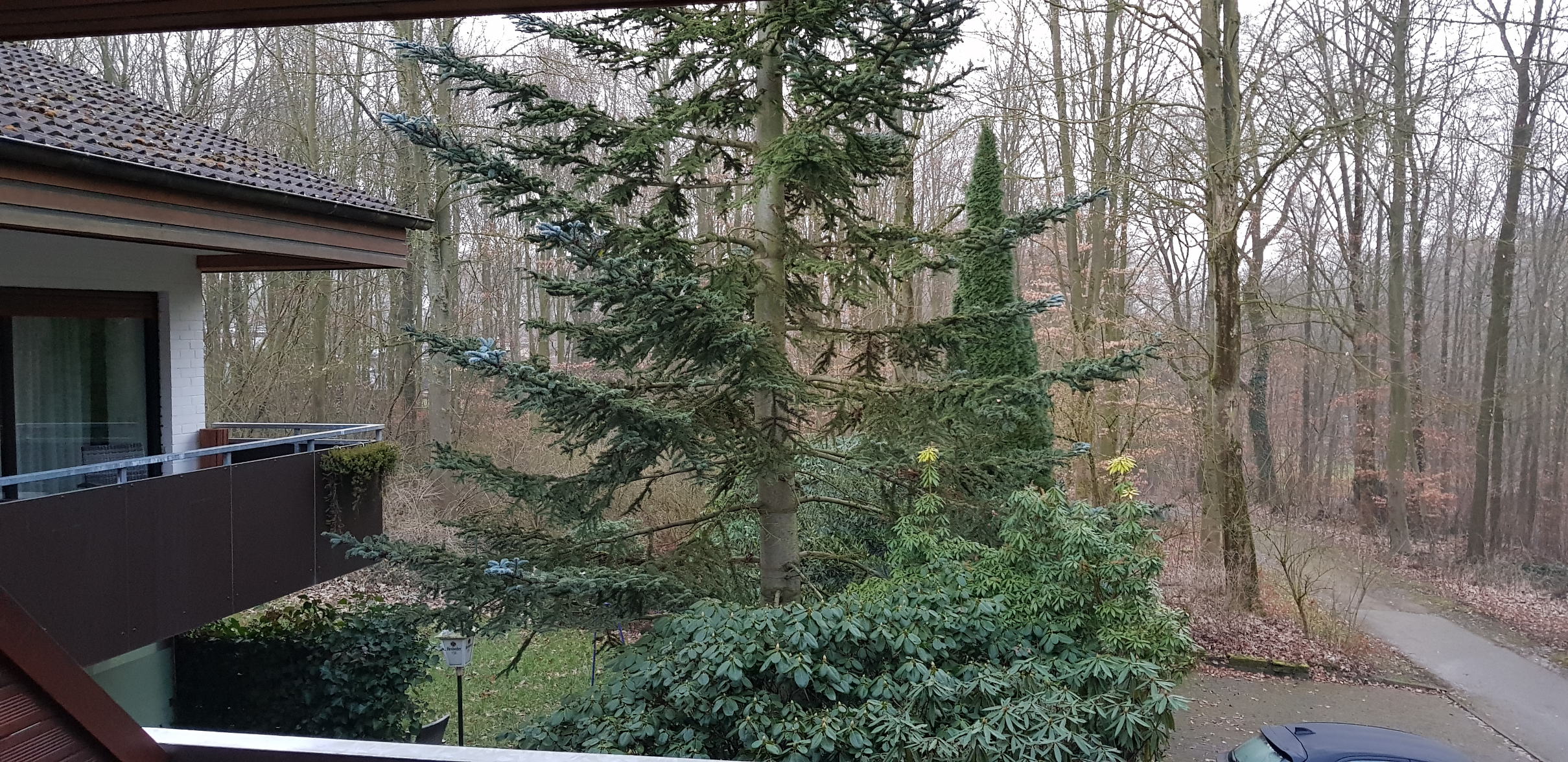 Bielefeld Brake